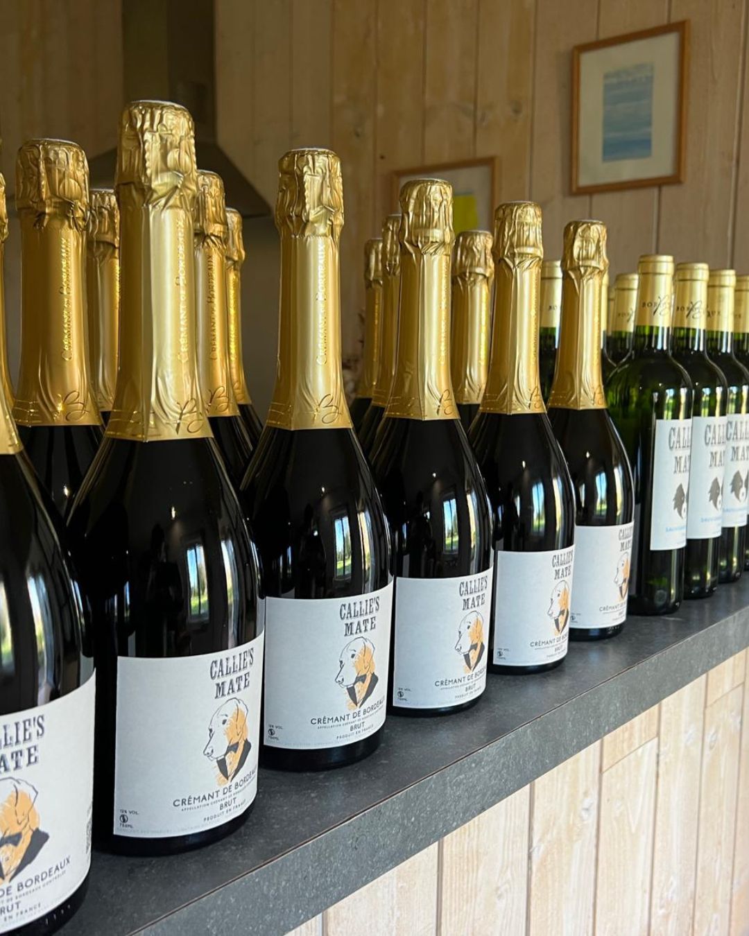 Callie’s Mate Wine Collection (Red, White, Rosé; Crémant – Bordeaux, France)