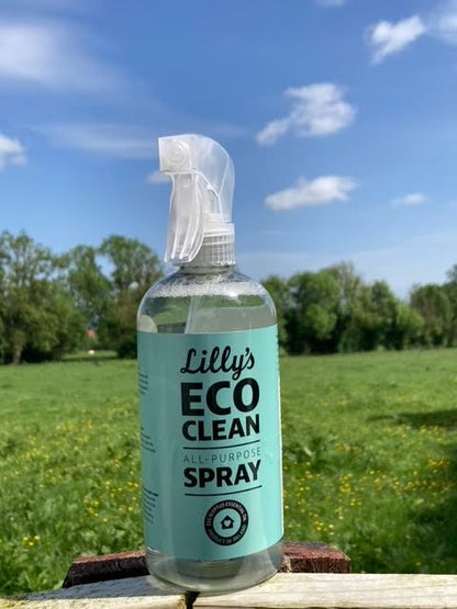 Lilly's Eco-Clean Products