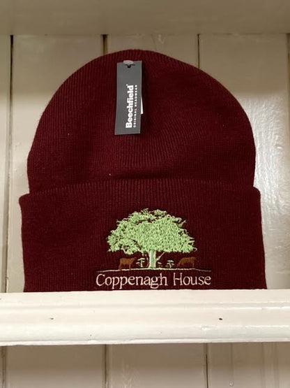 A burgundy beanie hat with an embroidered logo on the front.