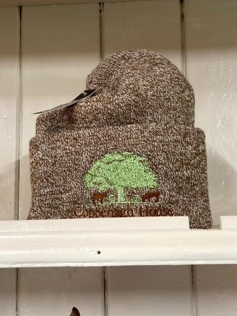 A grey beanie hat with an embroidered logo on the front.