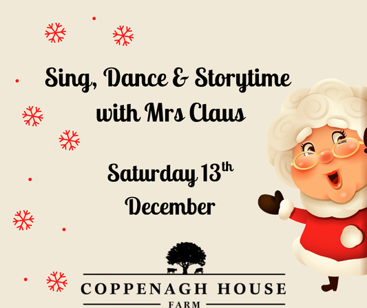 Sing, Dance & Storytime with Mrs Claus
