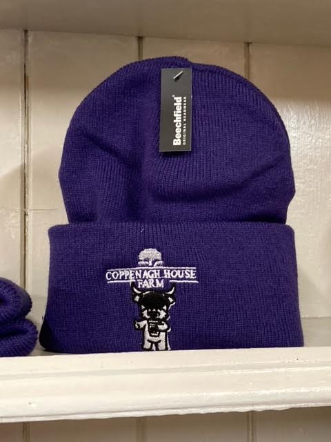 A purple beanie hat with an embroidered logo on the front.