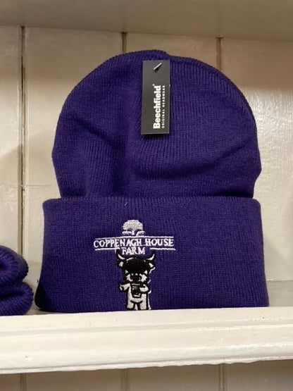 A purple beanie hat with an embroidered logo on the front.